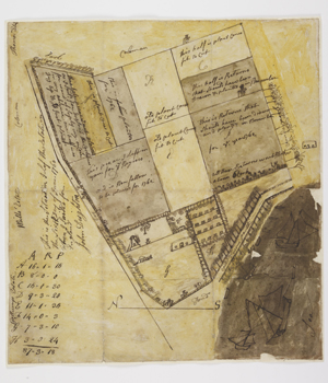 Map-of-Romney-plantation