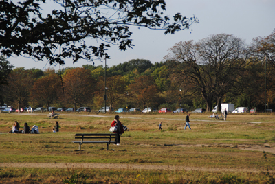 Wimbledon-Common