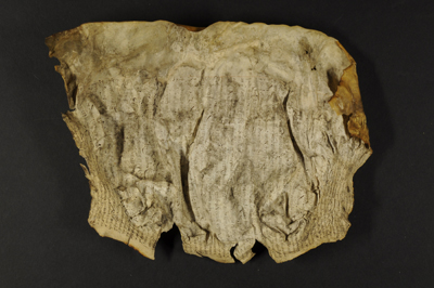 Great-Parchment-Book